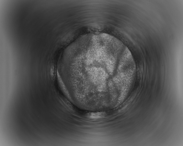 X0000092300134200710121454