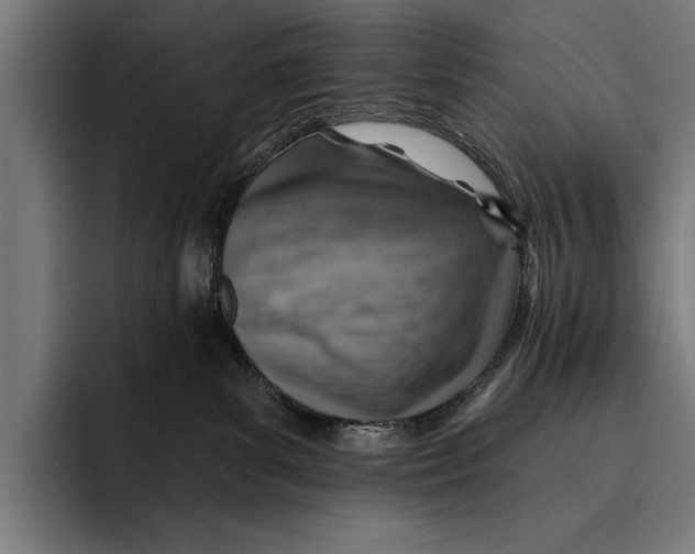 X0000092300139200710121454