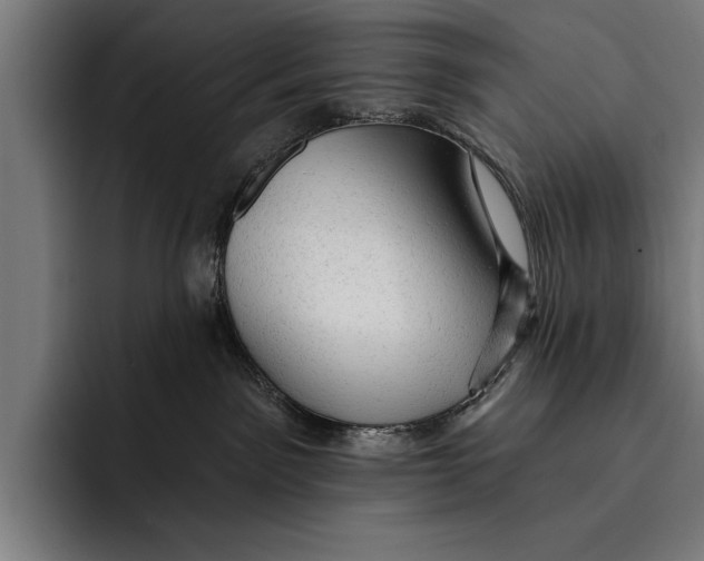 X0000092300141200710121454