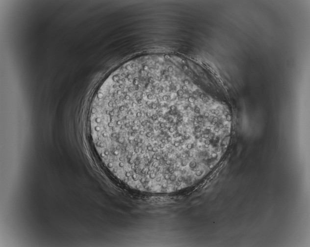 X0000092300145200710121453