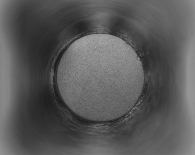 X0000092300146200710121453