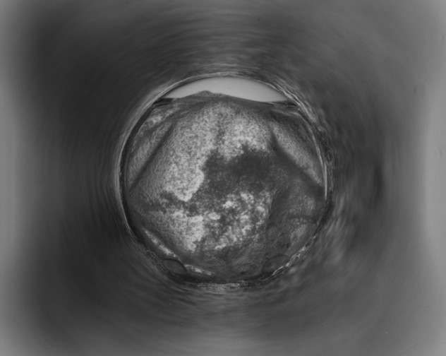 X0000092300147200710121453