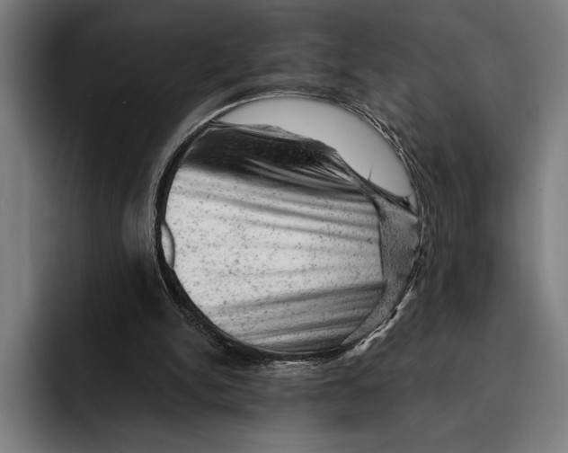 X0000092300150200710121453