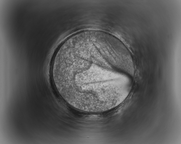 X0000092300151200710121453