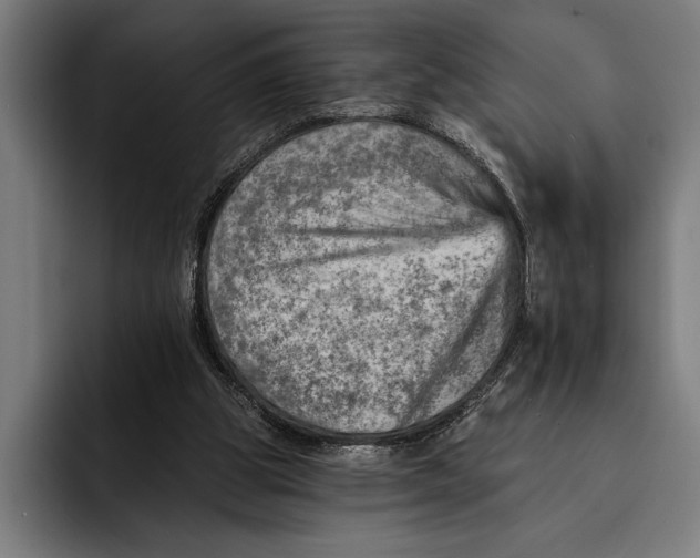 X0000092300153200710121453