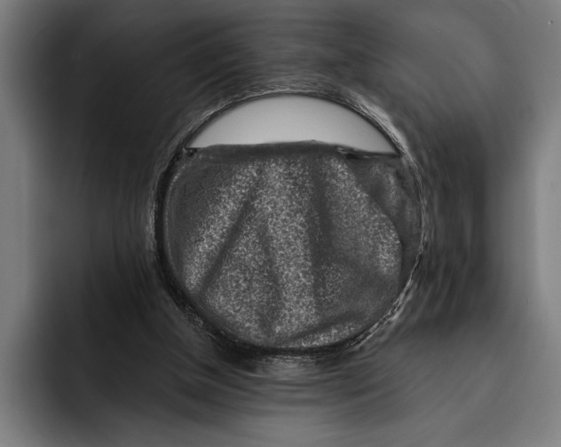 X0000092300154200710121453