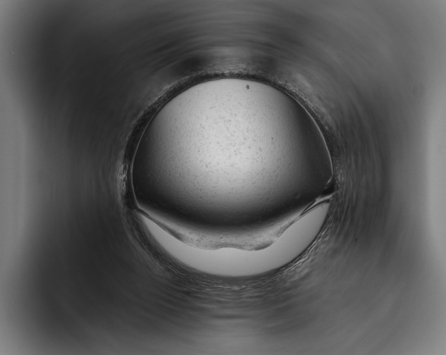 X0000092300160200710121453