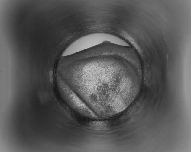 X0000092300161200710121453