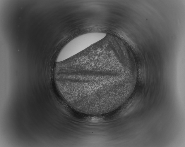 X0000092300165200710121453