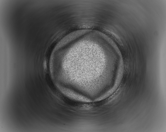 X0000092300166200710121453