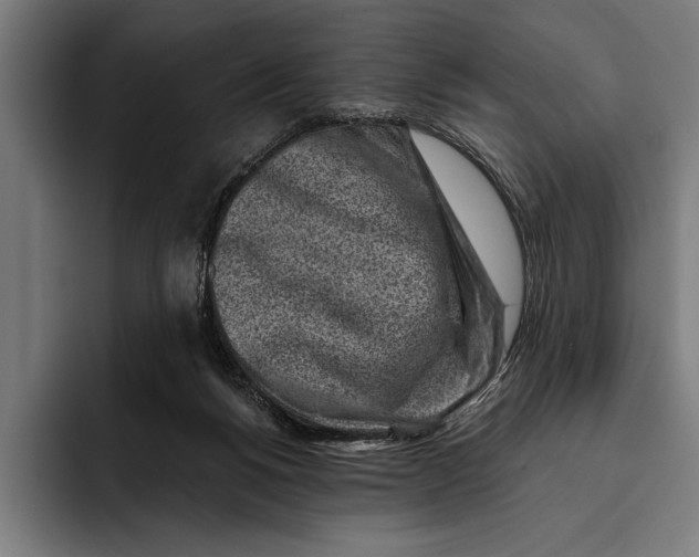 X0000092300168200710121453