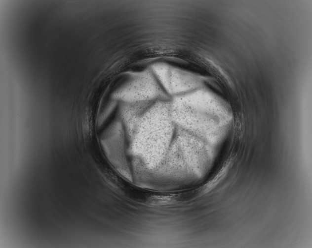 X0000092300170200710121453