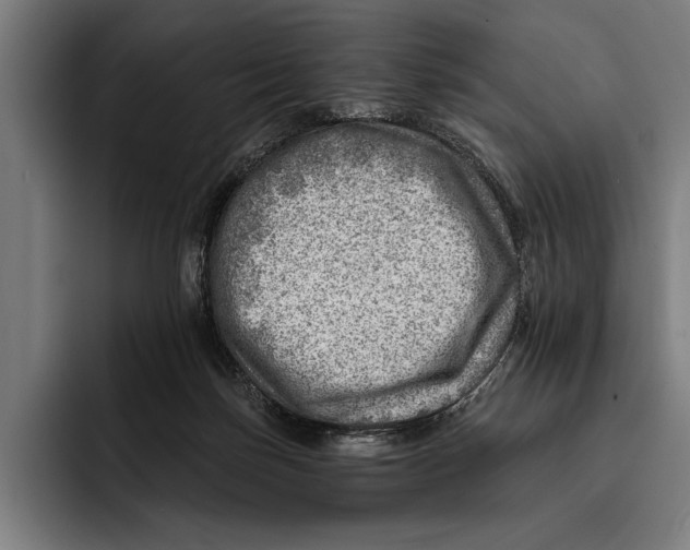 X0000092300171200710121453