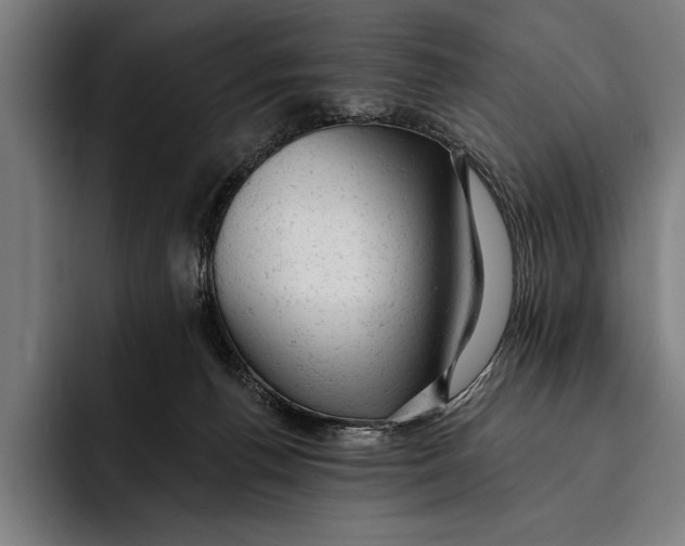 X0000092300176200710121454