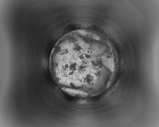 X0000092300177200710121454