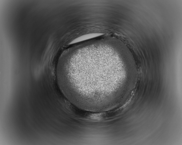 X0000092300178200710121454