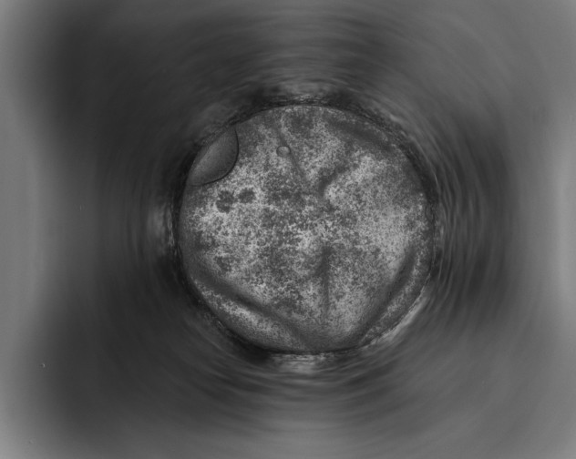 X0000092300182200710121454