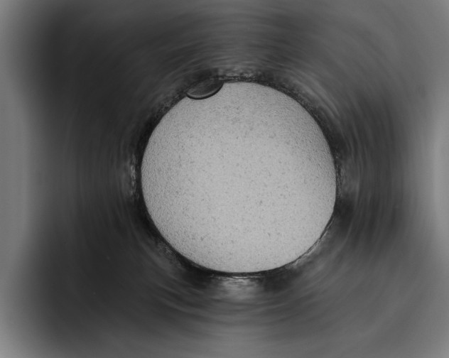 X0000092300183200710121454