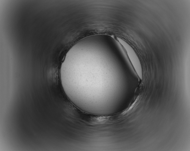 X0000092300184200710121454