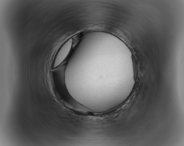 X0000092300193200710121453