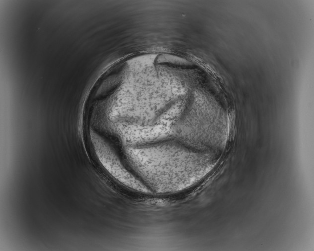 X0000092300195200710121453