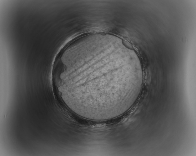 X0000092300196200710121453