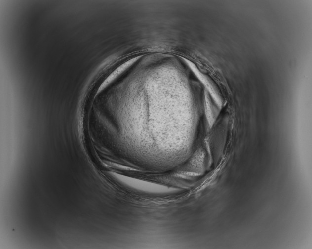 X0000092300197200710121453