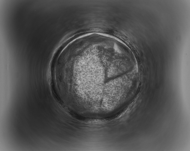 X0000092300198200710121453