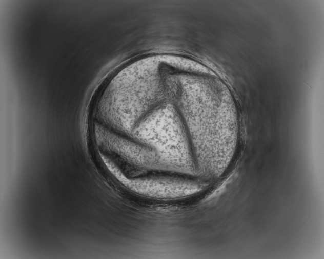 X0000092300199200710121453