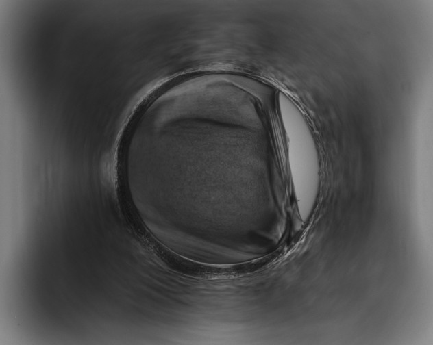 X0000092300200200710121453