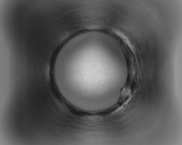 X0000092300201200710121453