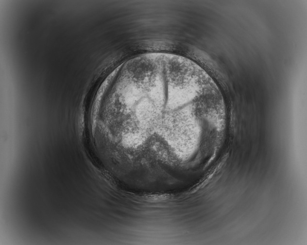 X0000092300202200710121453