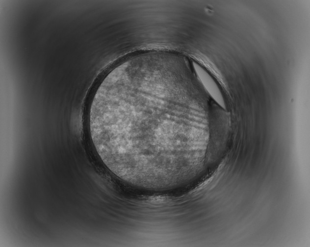 X0000092300204200710121453