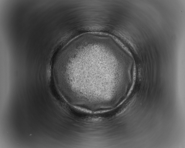 X0000092300206200710121453