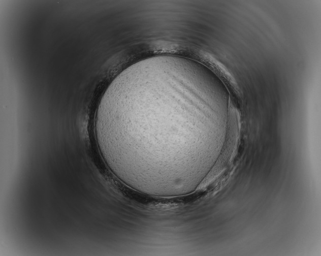 X0000092300209200710121453