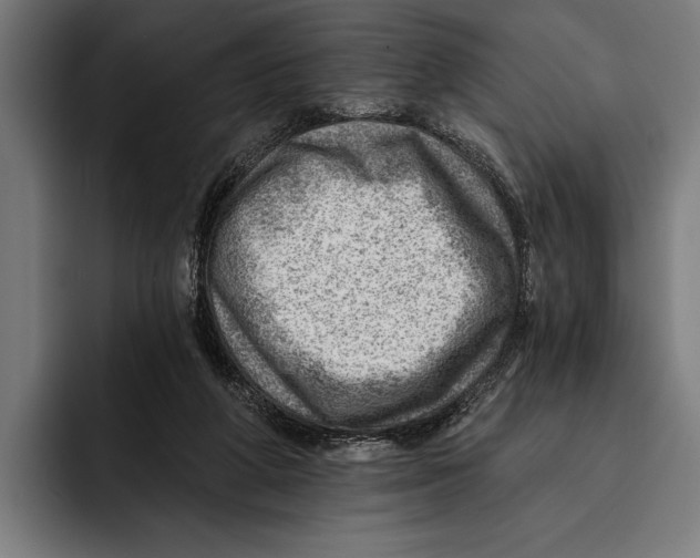 X0000092300210200710121453