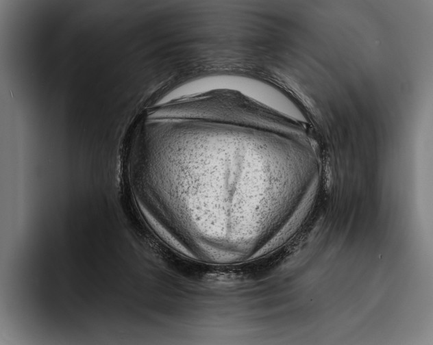 X0000092300211200710121453