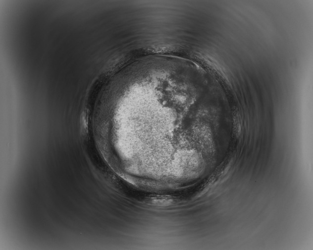 X0000092300214200710121453