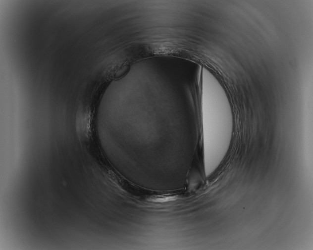 X0000092300219200710121453