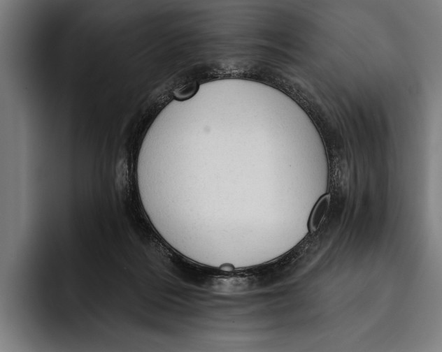 X0000092300220200710121453