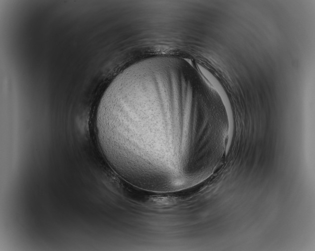 X0000092300221200710121453