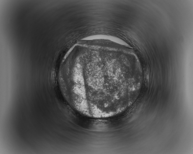 X0000092300222200710121453