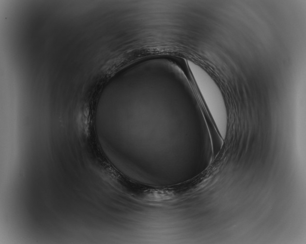 X0000092300223200710121453