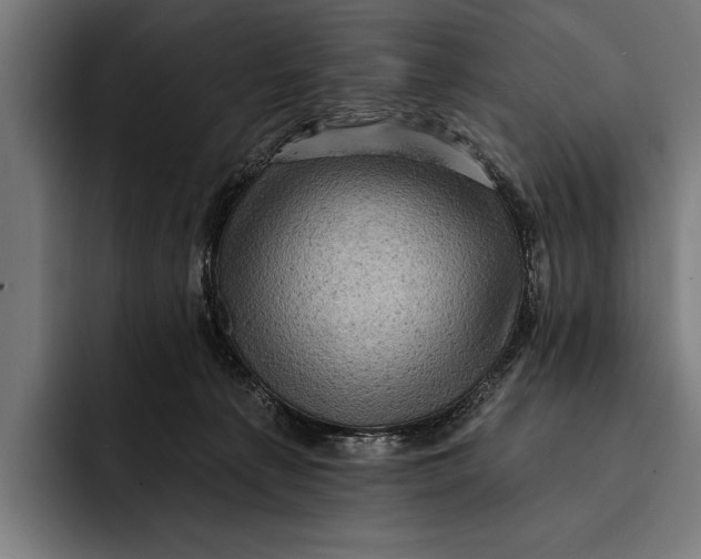 X0000092300225200710121453