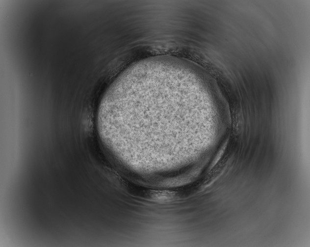 X0000092300226200710121453