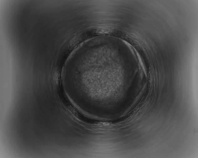 X0000092300227200710121453