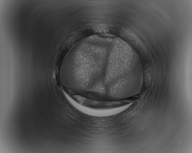 X0000092300229200710121453