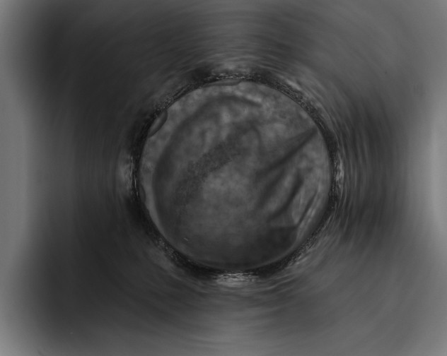 X0000092300231200710121453