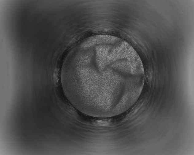 X0000092300232200710121453