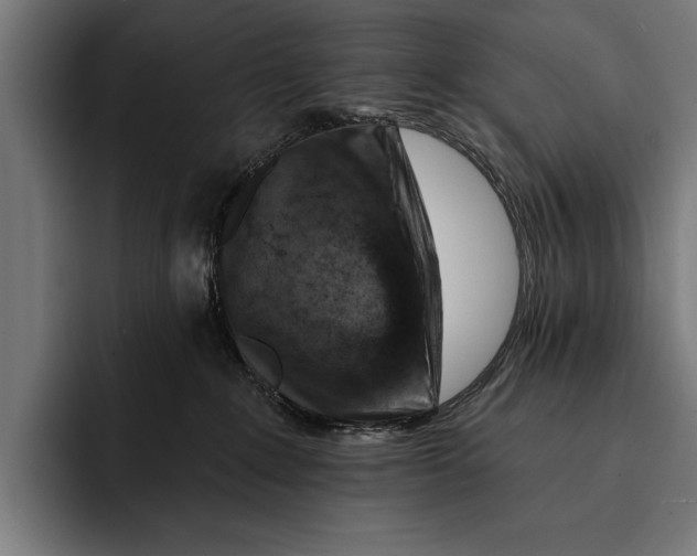 X0000092300235200710121453